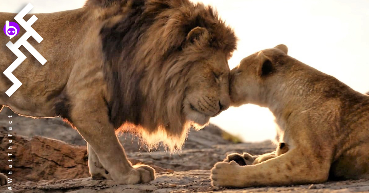 ผู้กำกับ The Lion King เผย : “ฉากเดียว” ที่ถ่ายทำในสถานที่จริง