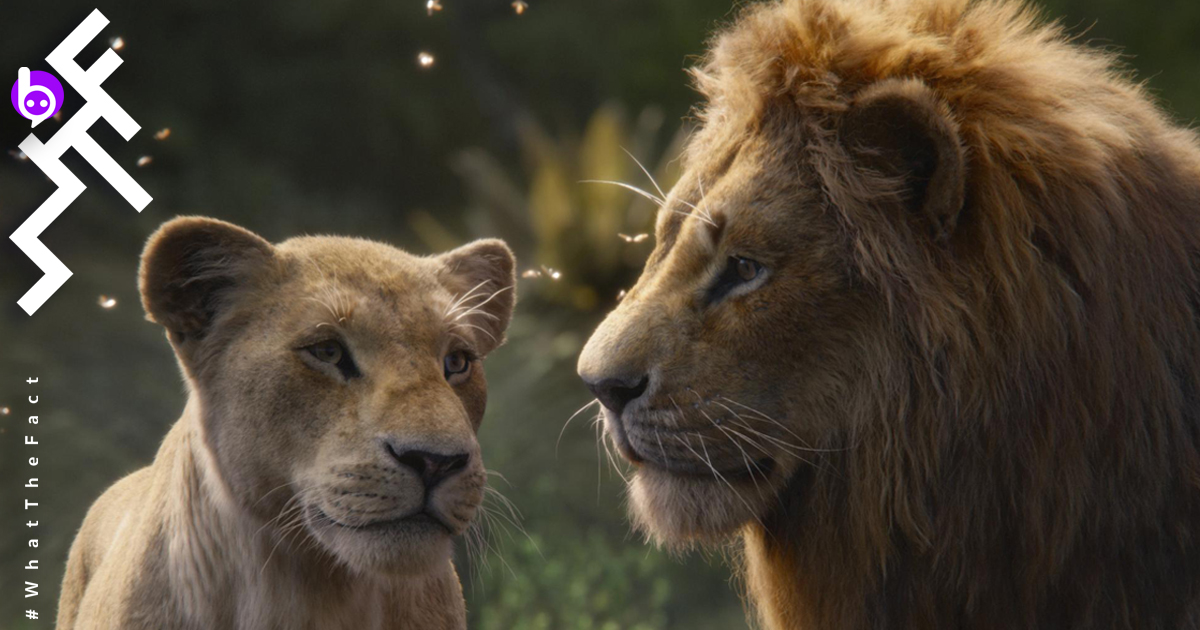 The Lion King ขึ้นแท่นหนัง Disney เปิดตัวสูงสุดในจีน “54.7 ล้านเหรียญ” : แซงหน้า The Jungle Book