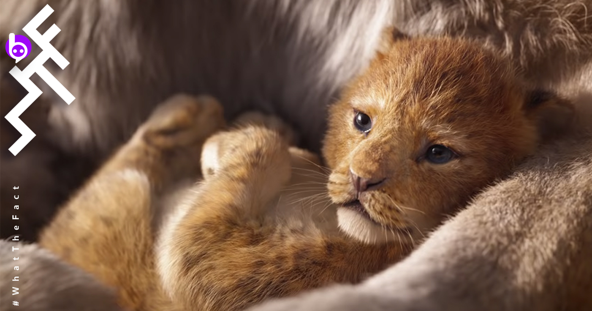 สื่อต่างประเทศมอง The Lion King อาจสร้างสถิติใหม่ให้ Disney