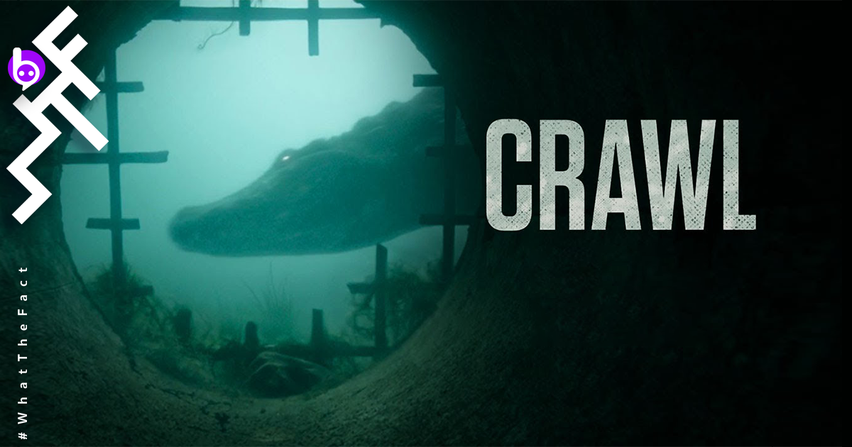 [รีวิว] Crawl : สูตรสำเร็จ เล่นง่าย กำไรงาม