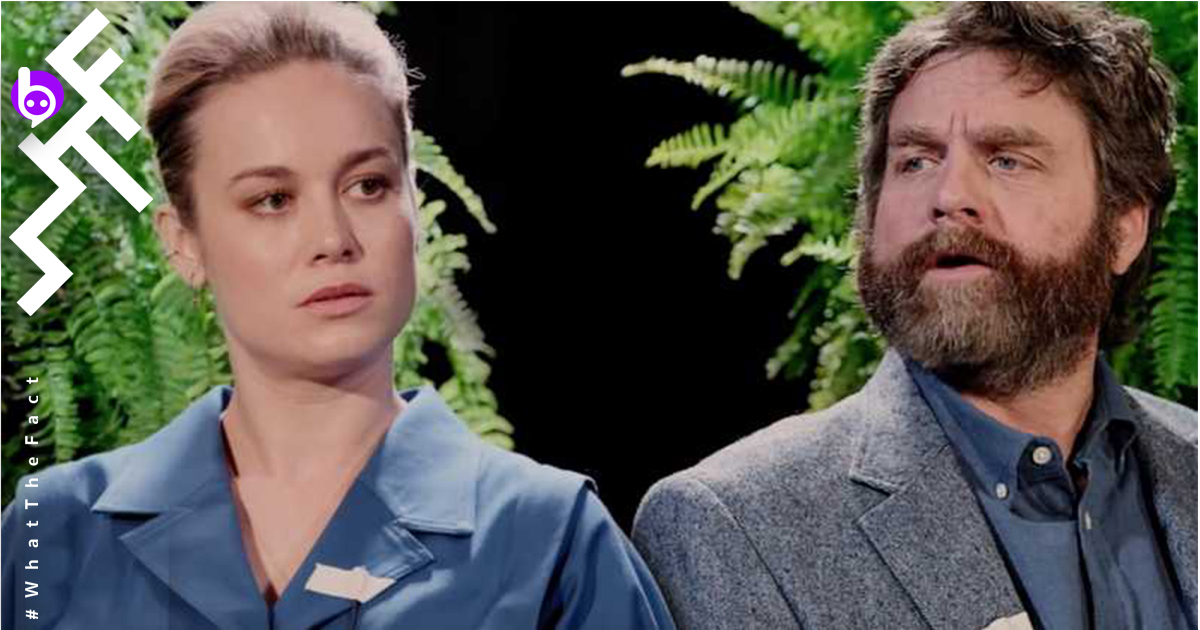 [รีวิว] Between Two Ferns: The Movie รายการตลกร้ายที่กล้าเอา Captain Marvel มาอำจนหน้าหงาย เดอะมูฟวี่