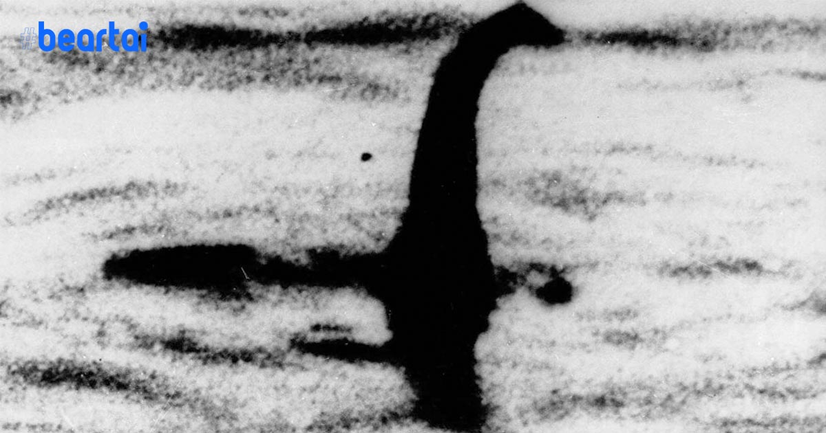 นักวิทยาศาสตร์เผยปริศนา “เนสซี” แห่งทะเลสาบล็อกเนสส์ แท้จริงแล้วมันคือ “ปลาไหลยักษ์”