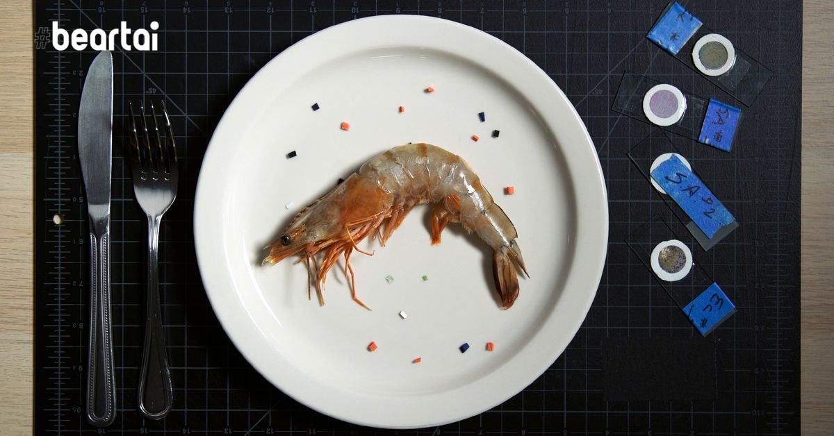 นักวิทยาศาสตร์พิสูจน์! มีไมโครพลาสติกทุกที่แม้แต่ในอาหารทะเลจานโปรดของคุณ
