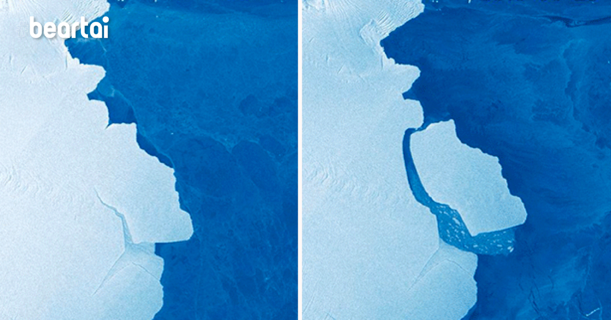 หิ้งน้ำแข็งขนาดใหญ่ที่สุดในรอบ 50 ปีใน Antarctica แตกตัว!