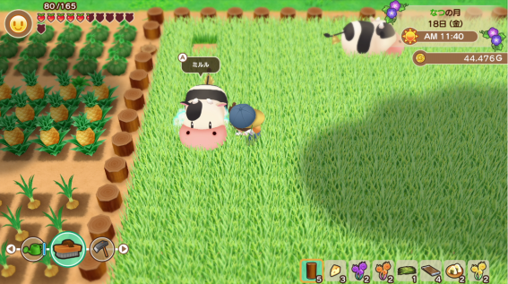 Director ของ Story of Seasons: Friends of Mineral Town อยากนำภาคอื่นๆ มา Remake ใหม่