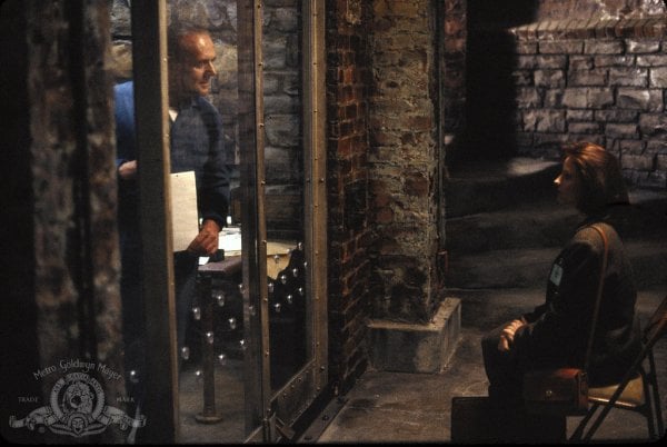 The Silence of the Lambs (1991)