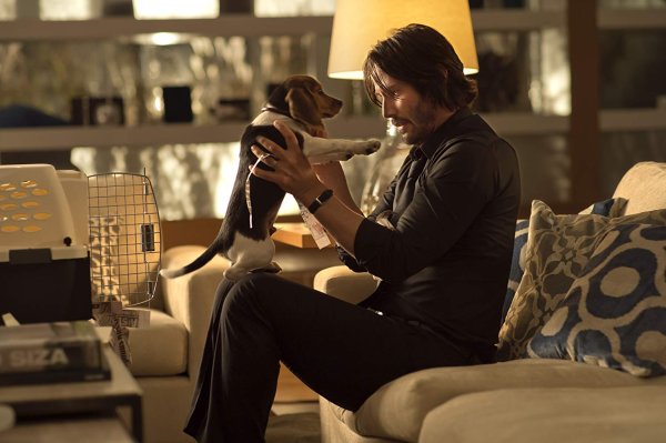 หนังเกือบจะชื่อ Scorn ไม่ใช่ John Wick จนเมื่อ Reeves ก้าวเข้ามาในฐานะนักแสดง