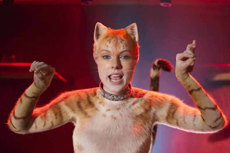 Cats