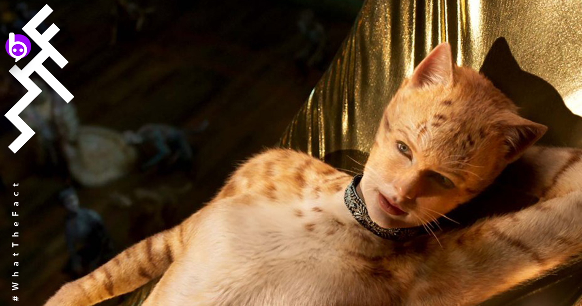 Universal จะฉาย Cats เวอร์ชันใหม่ ที่ปรับปรุง “วิชวลเอฟเฟกต์” มากขึ้น