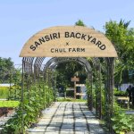 Sansiri Backyard