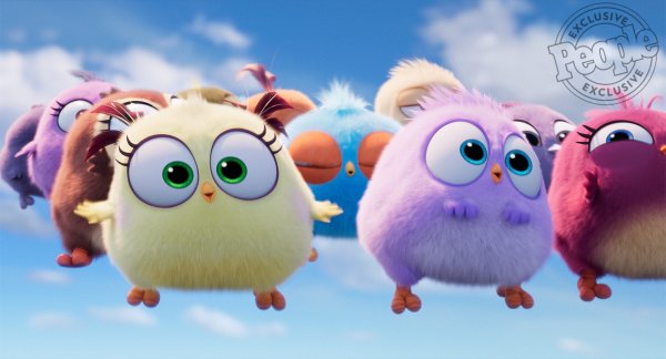 WHAT THE FACT รีวิว The Angry Birds Movie 2
