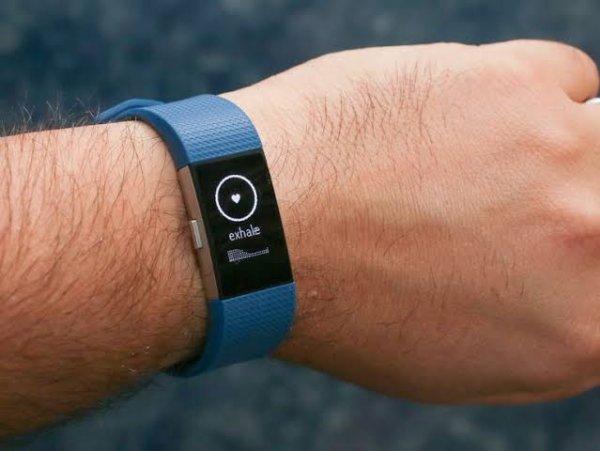 Fitbit Charge 2 (2016)