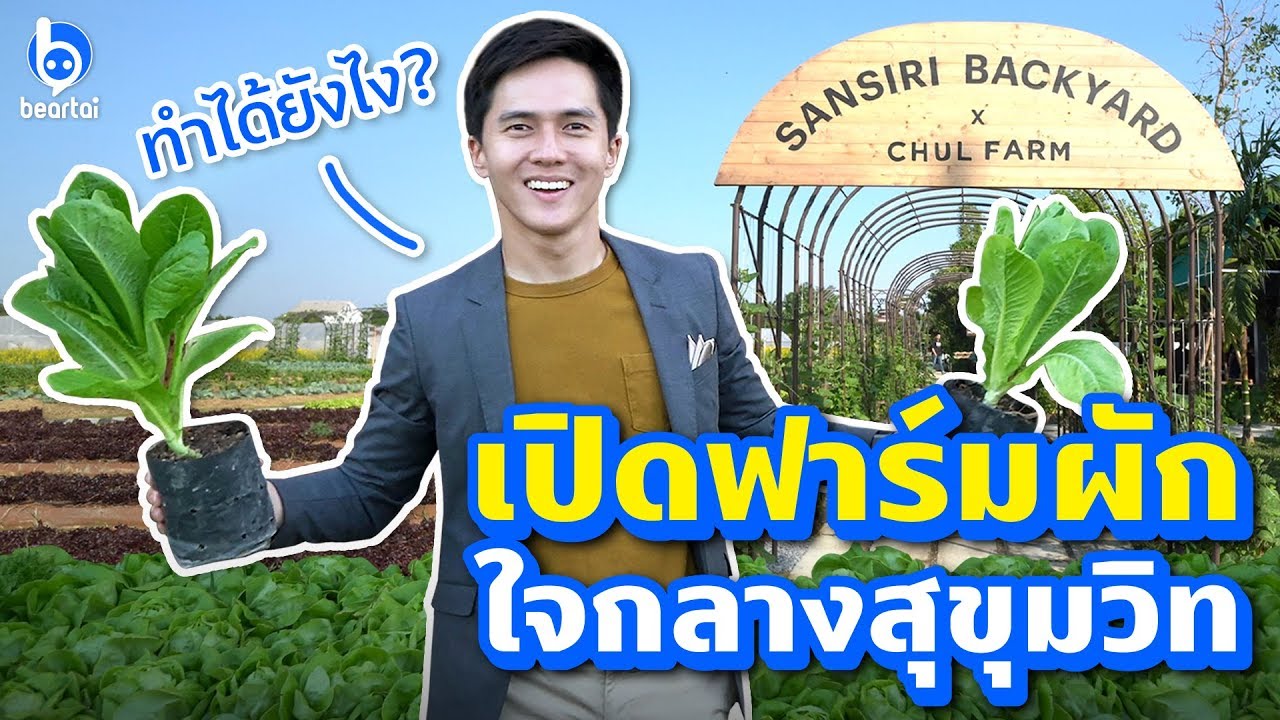 ทำได้ยังไง? เปิดฟาร์มผักใจกลางสุขุมวิท