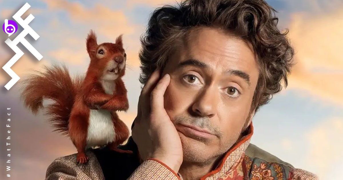 ทำท่าว่าจะเจ๊ง! Dolittle หนังของ Robert Downey Jr. เปิดตัววันแรกด้วยรายได้น้อยเกินคาด