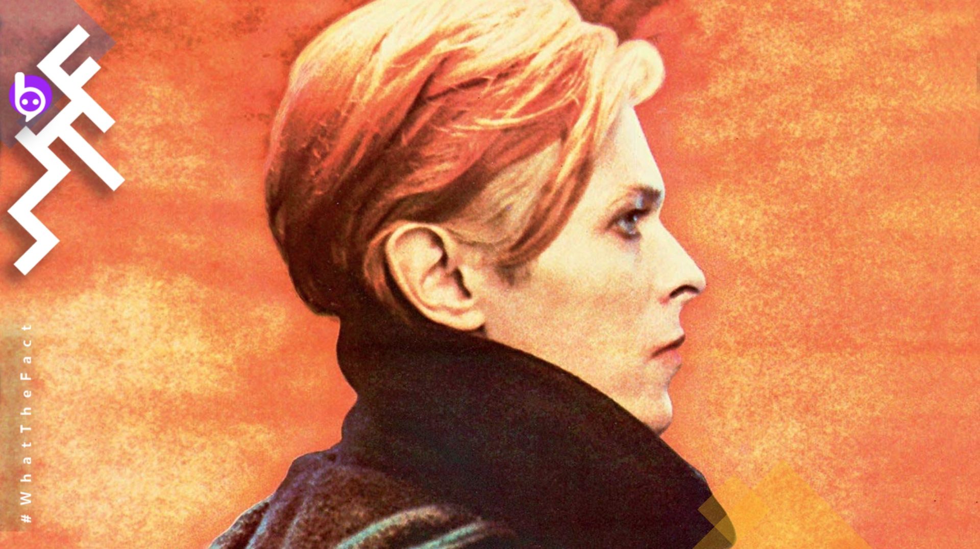“Low” เสียงสะท้อนความรวดร้าวจาก “เยอรมัน” อัลบั้มสุดล้ำจาก David Bowie หนึ่งในอัลบั้มที่ดีที่สุดของโลกดนตรี