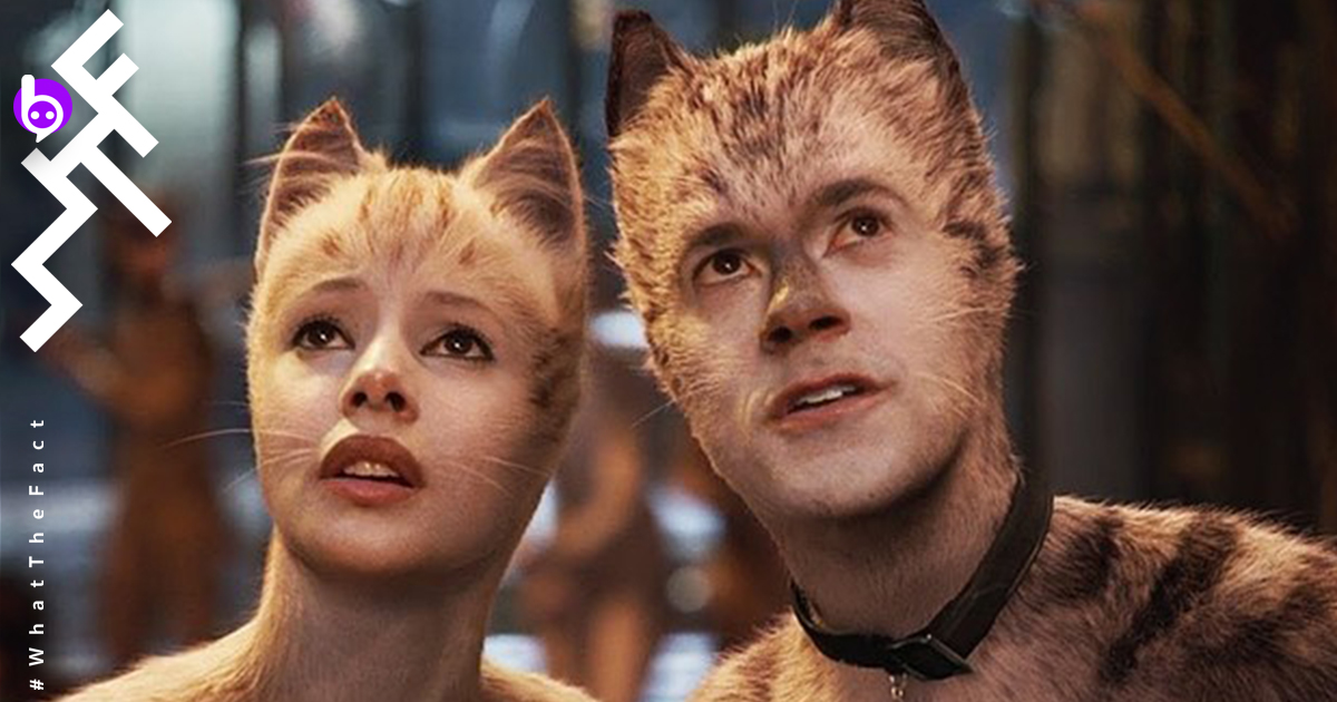 “ประสบการณ์รับชมหนังที่อัศจรรย์ที่สุดในชีวิต” คอหนังเมกันค้นพบวิธีดู Cats ให้เป็นหนังชั้นยอดโดยเมาปุ๊นก่อนดูหนัง