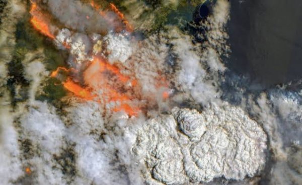 ภาพจากดาวเทียม แสดงให้เห็นถึงพิษสงอันน่ากลัวของไฟป่า
