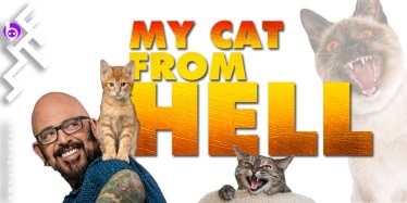 My Cat from Hell S9 ยุทธการสยบเหมียวแสบ : เรียลลิตี้ที่เหมาะกับทาสแมว สุด ๆ