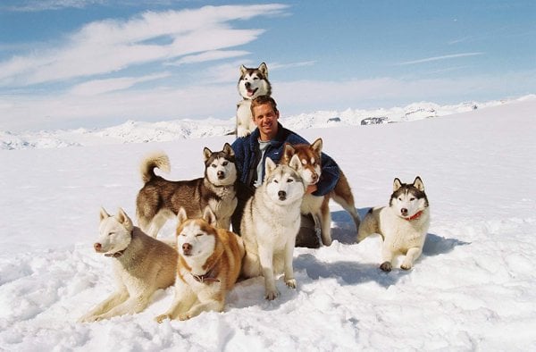 Eight Below (2006)