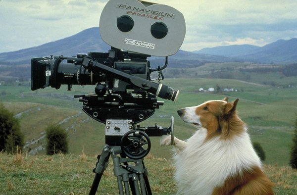 Lassie (2005)