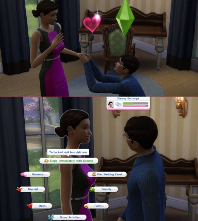 The Sims