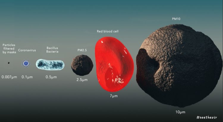 Coronavirus size