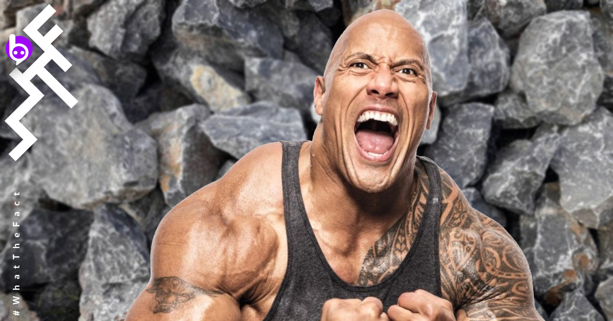 dwayne the rock johnson