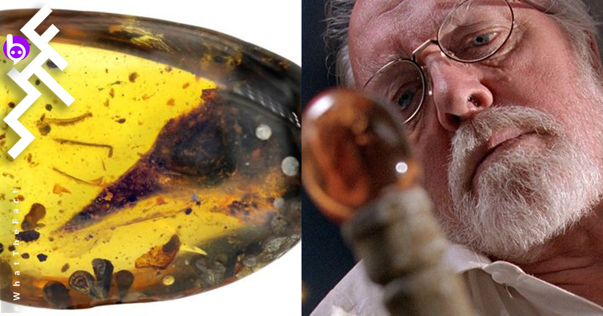 Fossil Amber Smallest Dinosaur