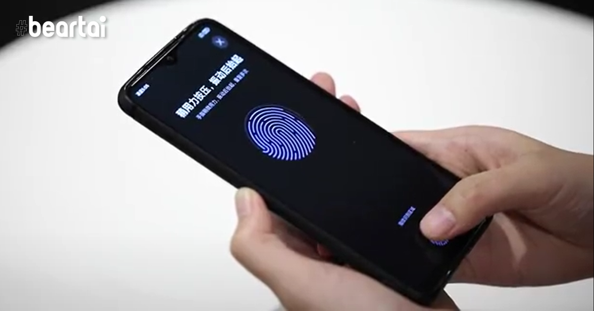 in display fingerprint