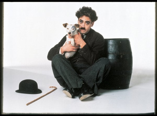 Chaplin (1992)