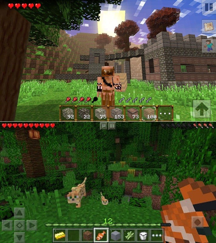 Minecraft