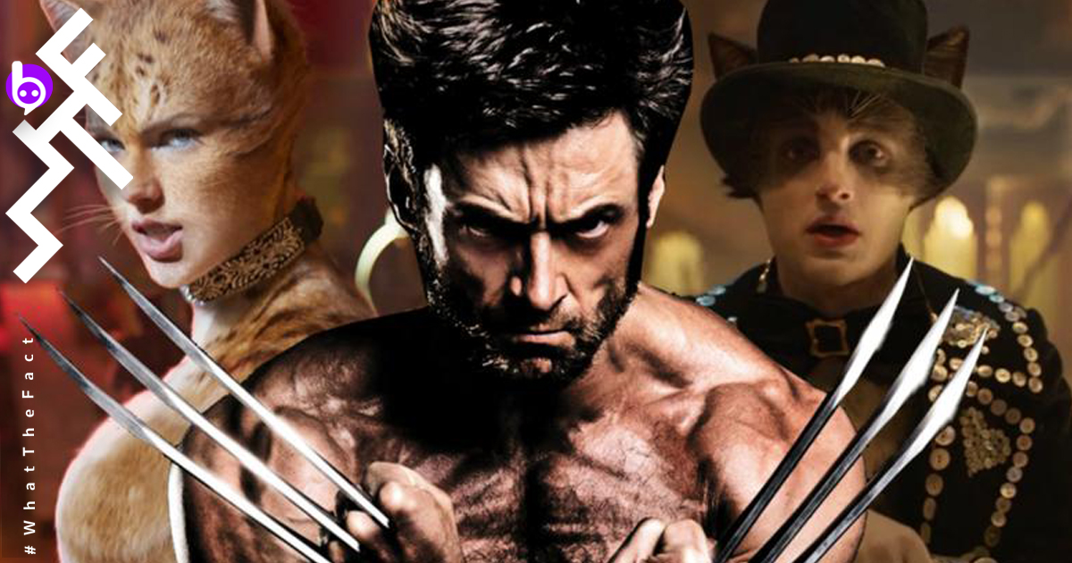 Hugh Jackman Wolverine Cats