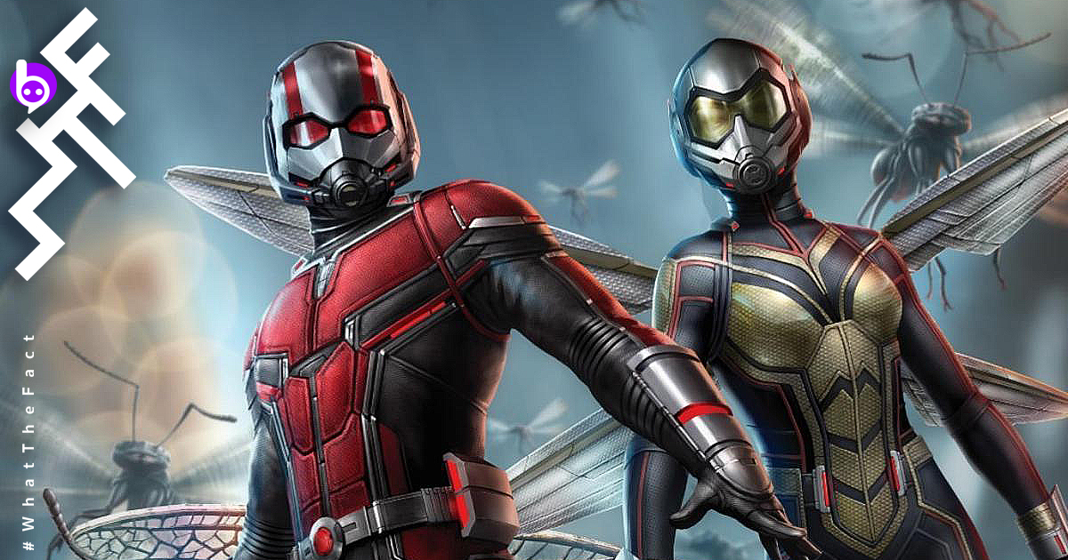 โพรเจกต์ Ant-Man 3 เดินหน้า : ได้ผู้เขียนบท Rick & Morty มาเสริมทัพ