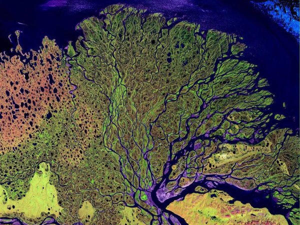 สามแม่น้ำ Siberian ที่มีขนาดกว้างที่สุดในโลกที่ไหลลงสู่มหาสมุทร Arctic ที่ Siberia's Lena Delta