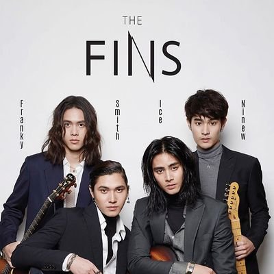 The Fins