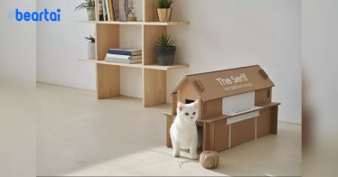 ทาสแมวถูกใจสิ่งนี้ กล่องใส่ทีวี Samsung รุ่นใหม่ จะสามารถพับเป็นบ้านให้น้องแมวอยู่ได้