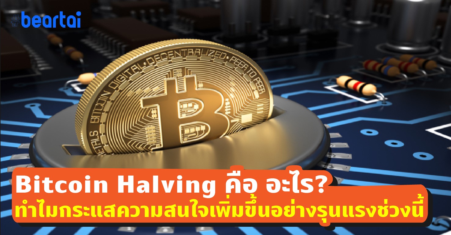 Bitcoin Halving คืออะไร? กระแสความสนใจถึงเพิ่มขึ้นอย่างรุนแรงช่วงนี้