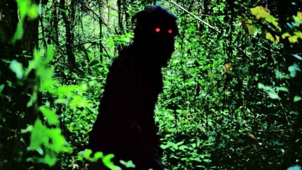 Uncle Boonmee Who Can Recall His Past Lives (2010)