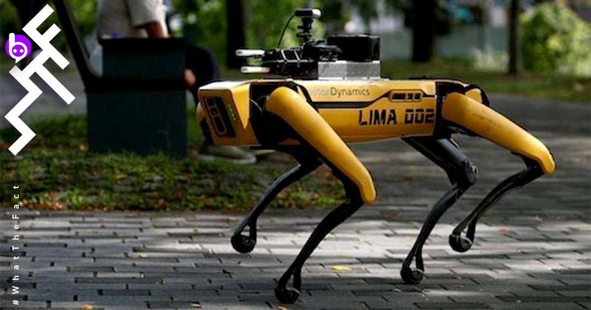 สิงคโปร์ก้าวล้ำ ใช้ “สุนัขหุ่นยนต์” มาควบคุมประชาชนให้รักษาระยะห่างในสังคม