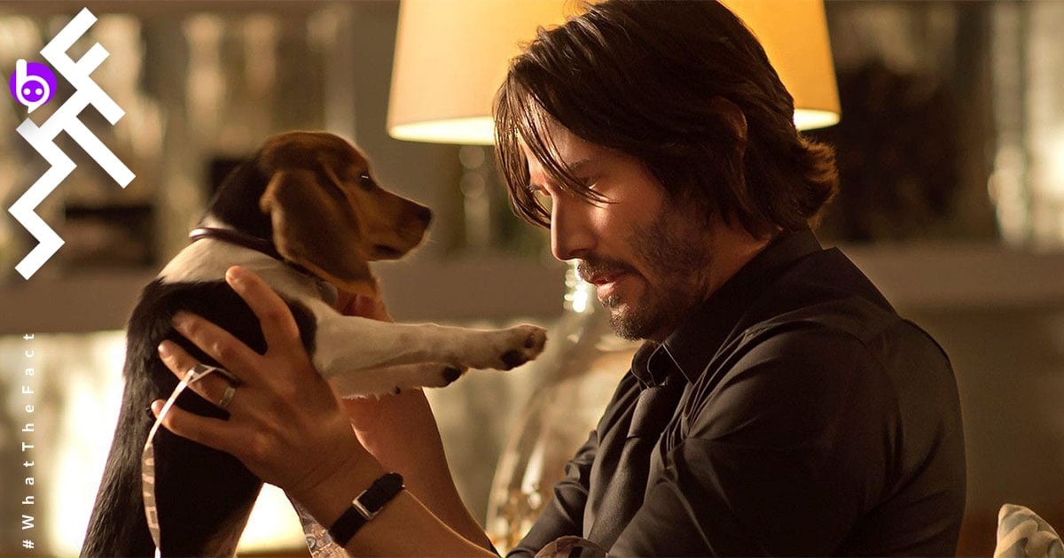 รู้หรือไม่….เดิมทีหนังไม่ได้ชื่อ John Wick และเกือบจะไม่มีฉากหมาตาย