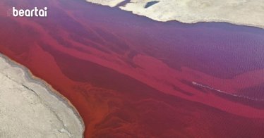 Massive fuel leak contaminates Arctic river