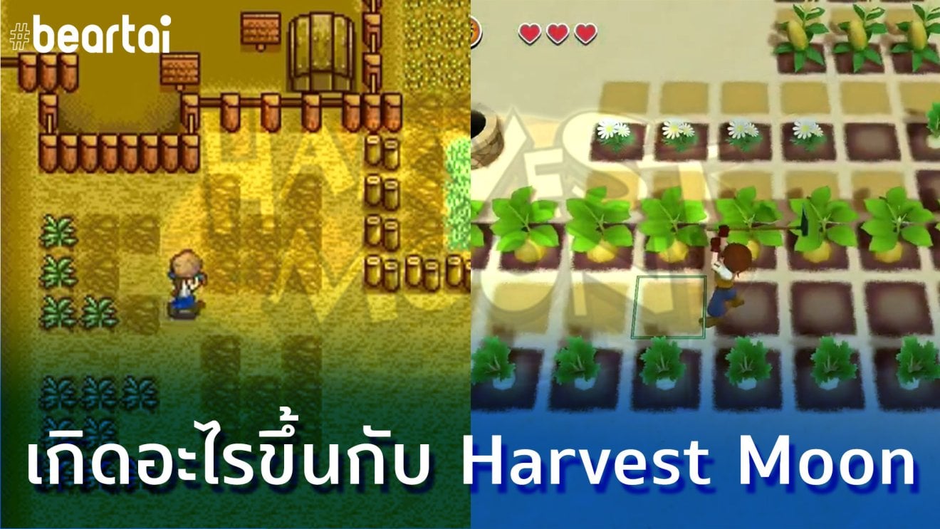 สรุปปมขัดแย้งทีมสร้างเกมซีรีส์ Harvest Moon เริ่มต้น? จบลง? ปัจจุบัน?