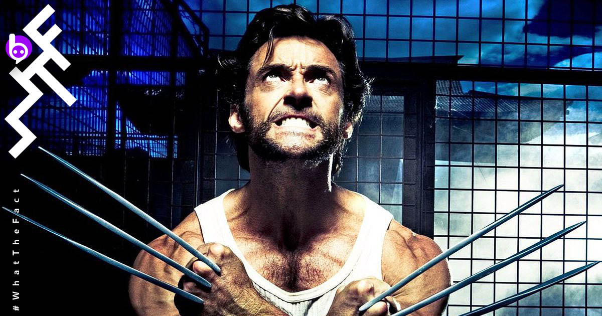 โจ รุสโซ เปรย สมาชิกใหม่ในทีม Avengers คือ Wolverine