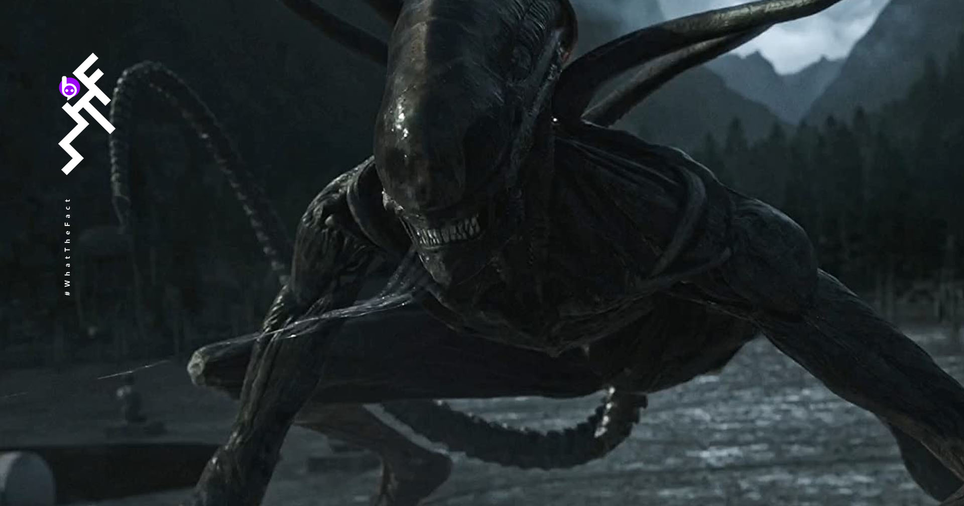 Alien ยังมีแผนจะสร้าง “ภาคต้นกำเนิด” ภาคใหม่ Ridley Scott บอก