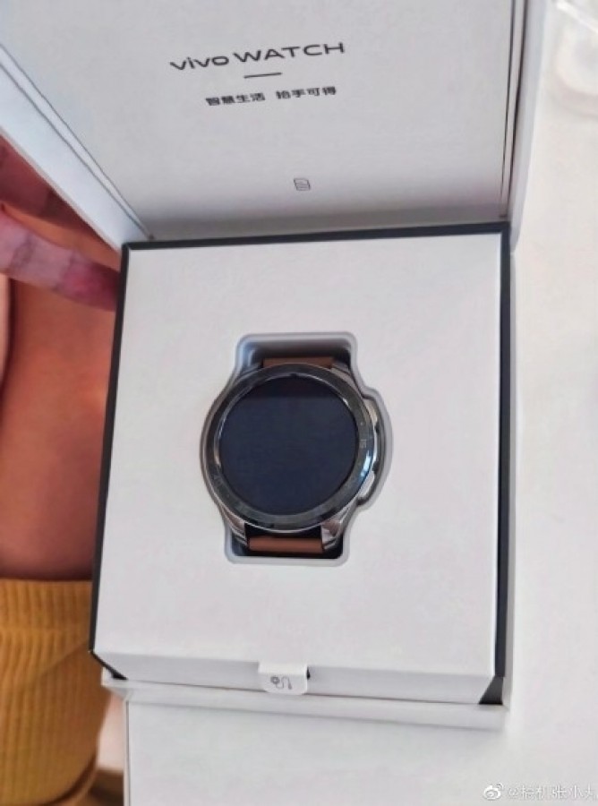 Vivo Watch