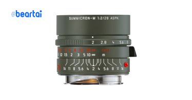 Summicron-M 28mm f/2 ASPH Safari