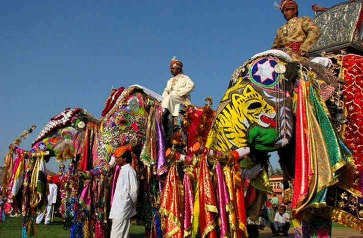 Elephant Festival 