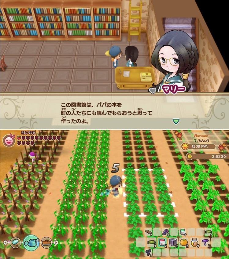 Story of Seasons Friends of Mineral Town