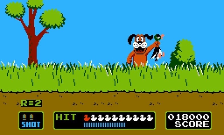 Duck Hunt