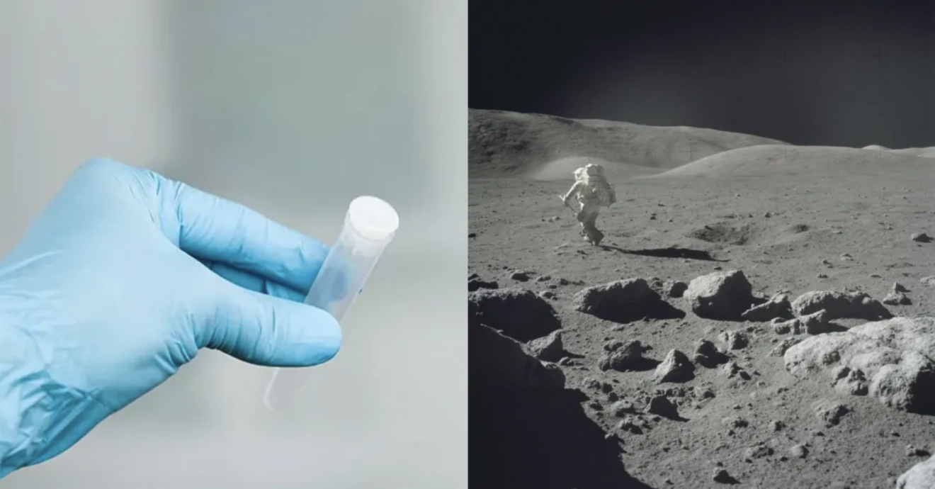 นักวิทย์จะส่งสเปิร์ม 6.7 ล้านตัวอย่างไปดวงจันทร์ เพื่อช่วยมนุษย์จากการสูญพันธุ์